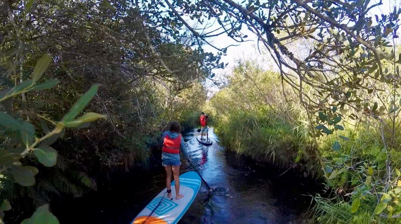 Hoya Surf Camp - Activites + Logements Бискаррос Экстерьер фото